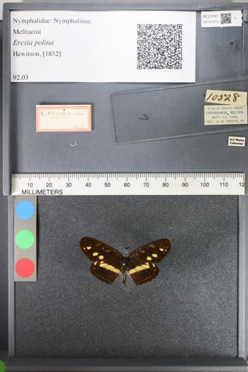 Media type: image;   Entomology 101013